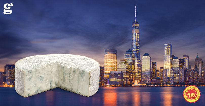 GORGONZOLA BOB IN NEW YORK