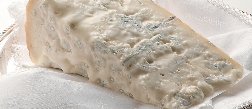 fetta gorgonzola fresco