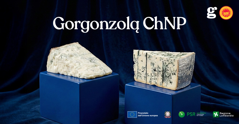 GORGONZOLA ChNP WŚRÓD NAJBARDZIEJ WYSZUKIWANYCH SERÓW NA ŚWIECIE W INTERNECIE